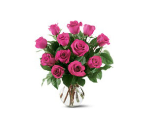 12 Pink Roses