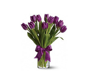 Passionate Purple Tulips